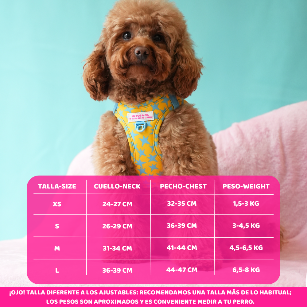 Stars harness Step-In My Pug & Co by Agatha Ruiz de la Prada