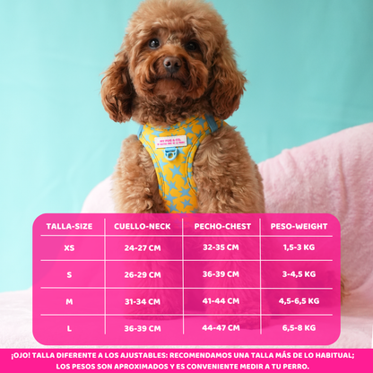 Stars harness Step-In My Pug & Co by Agatha Ruiz de la Prada