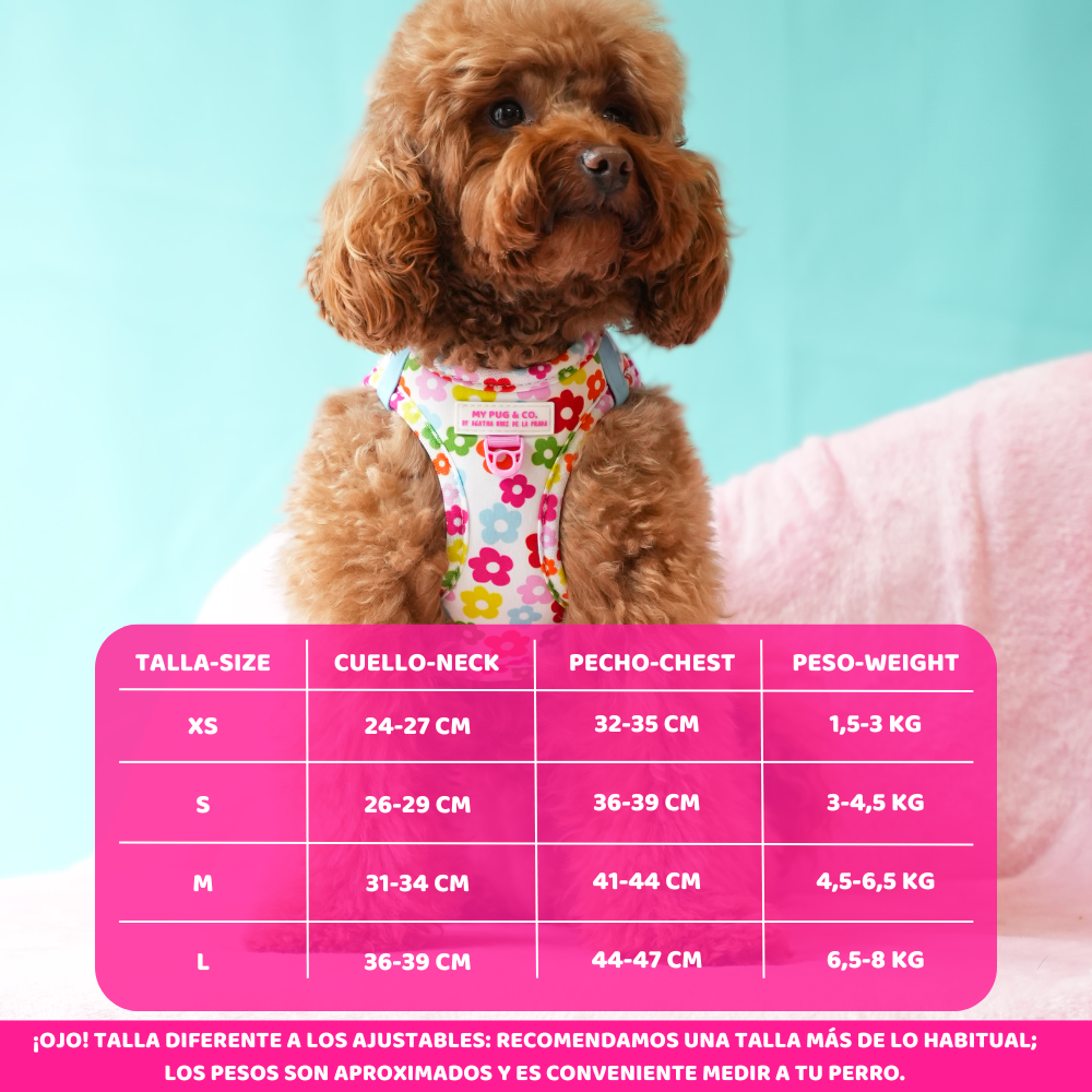 Flowers Harness Step In My Pug & Co by Agatha Ruiz de la Prada