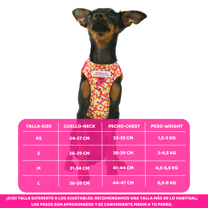 Pop Flowers Body Harness by Agatha Ruiz de la Prada