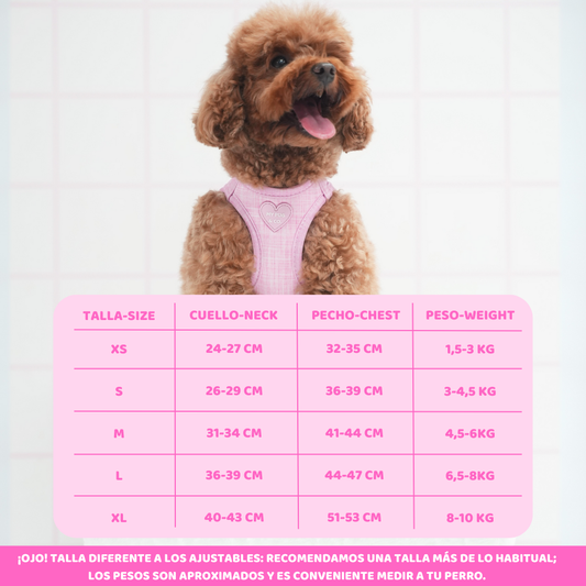 Arnés Body Rosa Bloom