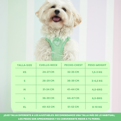 Arnés Body Verde Matcha