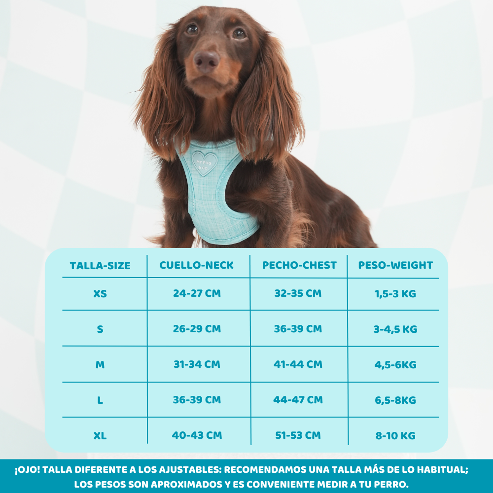 Sky Blue Body Harness