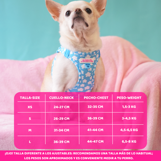 Arnés Body Nubes by Agatha Ruiz de la Prada