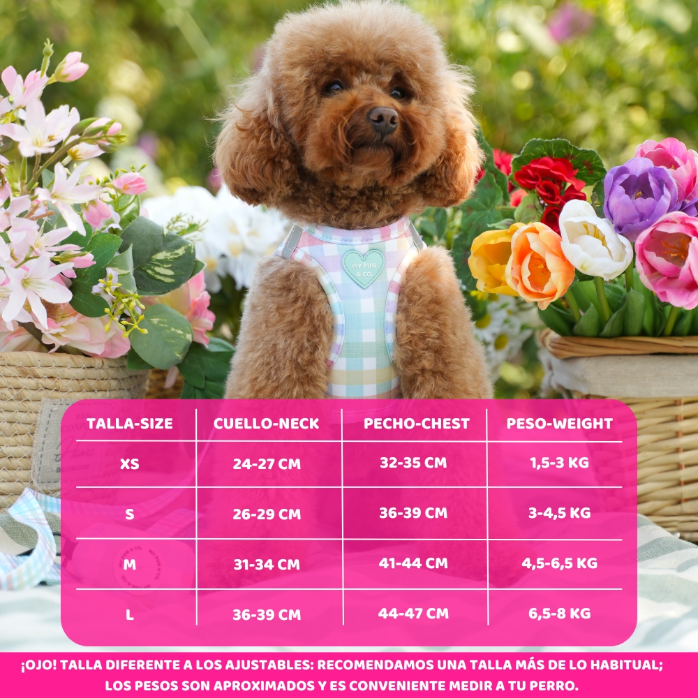 Body Spring Picnic Harness