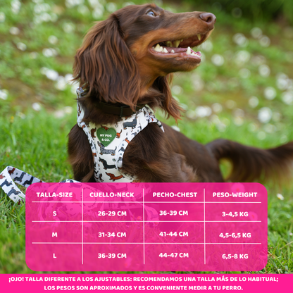 Dachshund Body Harness
