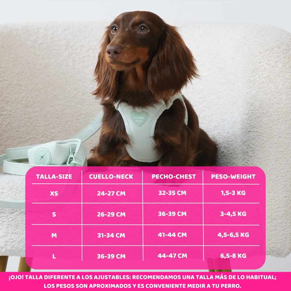 Arnés Body Tweed Verde