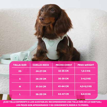 Arnés Body Tweed Verde