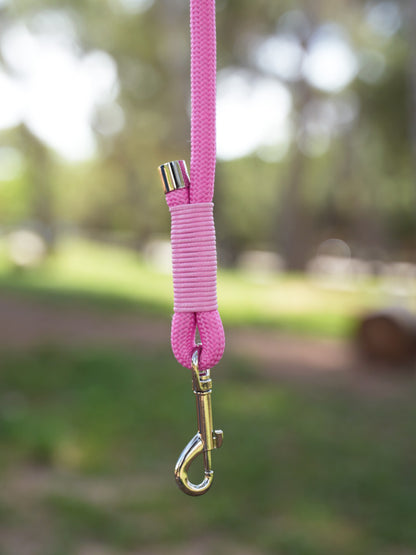 <tc>Mint Waterproof Leash</tc>