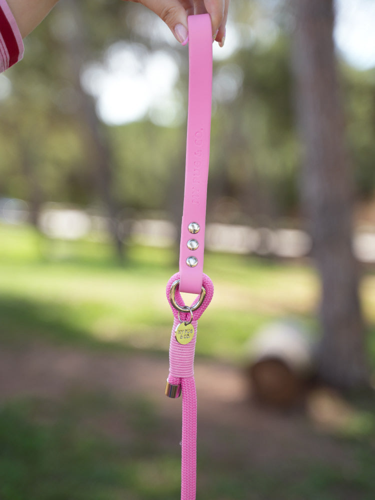 <tc>Mint Waterproof Leash</tc>