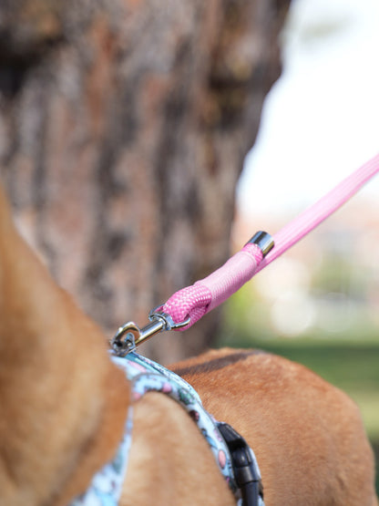 <tc>Mint Waterproof Leash</tc>