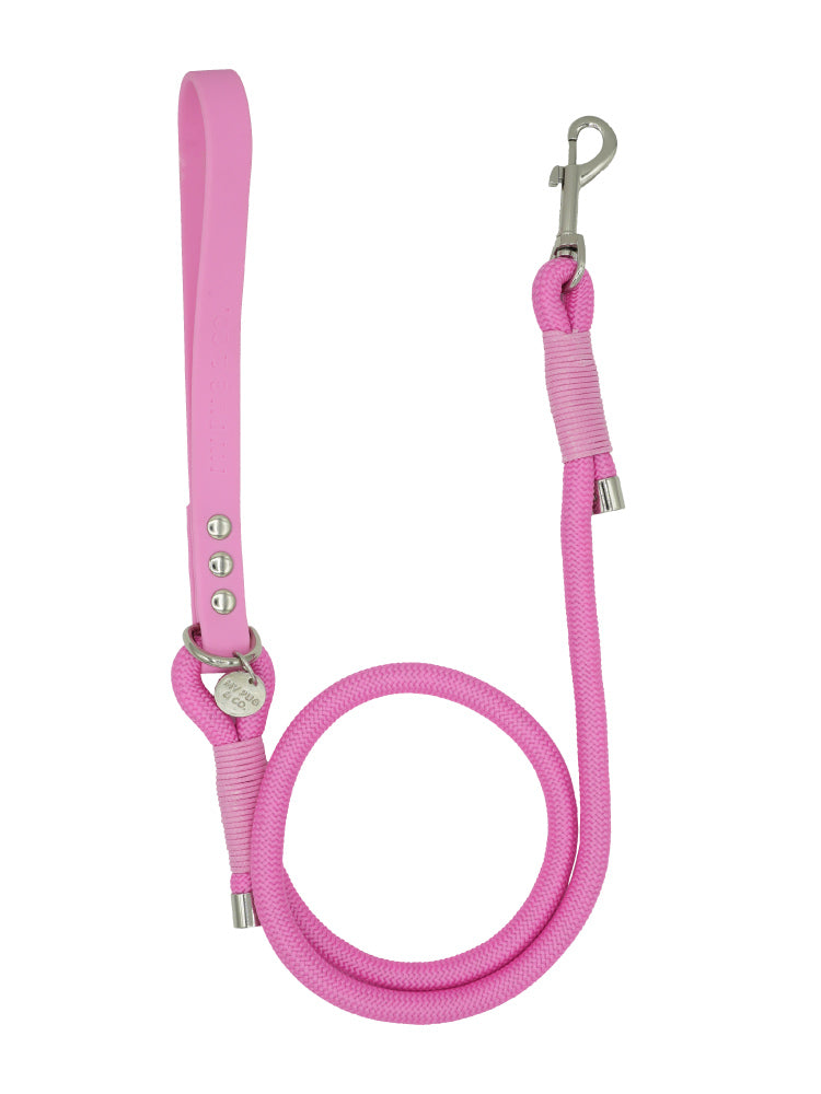 <tc>Mint Waterproof Leash</tc>