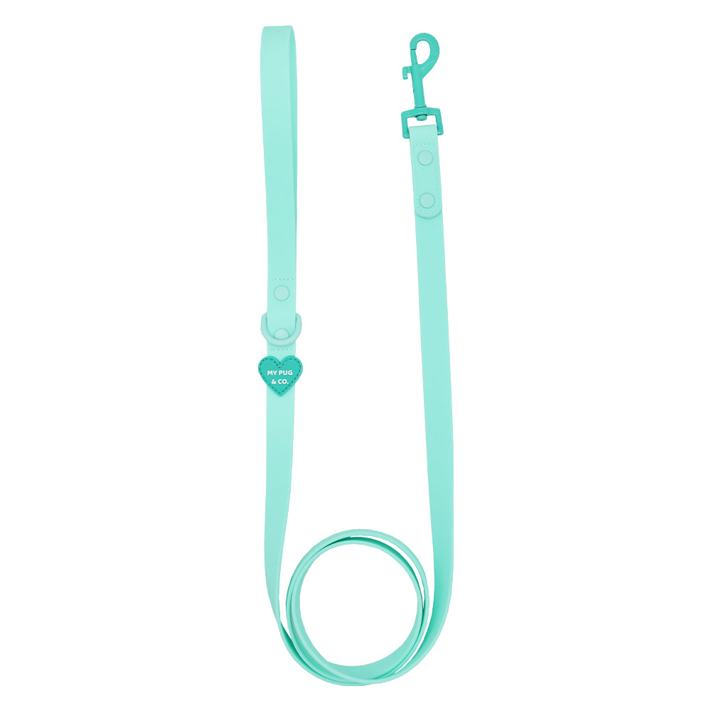 Correa Waterproof Turquesa - Verde