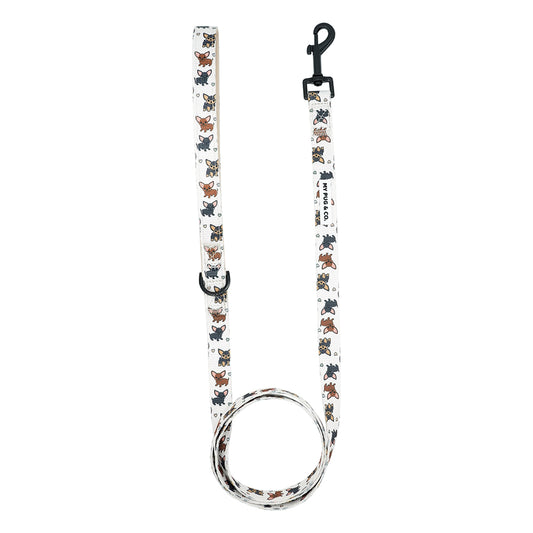 <tc>Chihuahua Leash</tc>