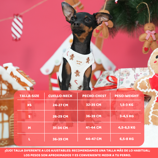 Arnés Body Gingerbread