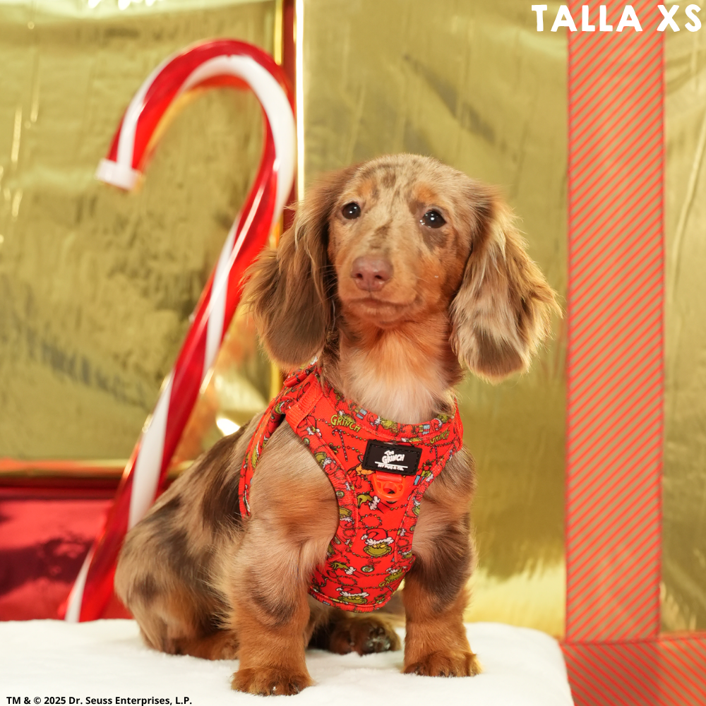 Arnés Body The Grinch Rojo