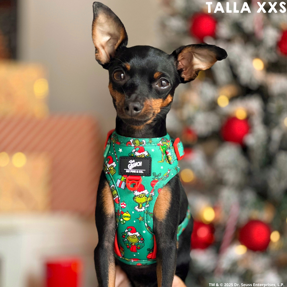 Arnés Ajustable The Grinch Verde