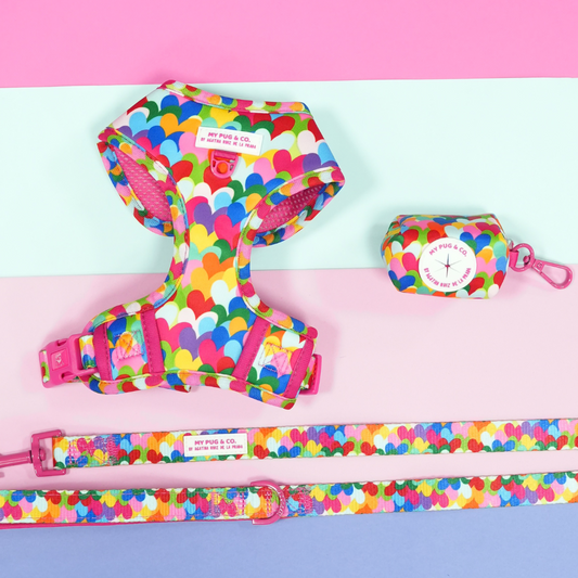 Pack Arnés Ajustable Corazones Pop by Agatha Ruiz de la Prada