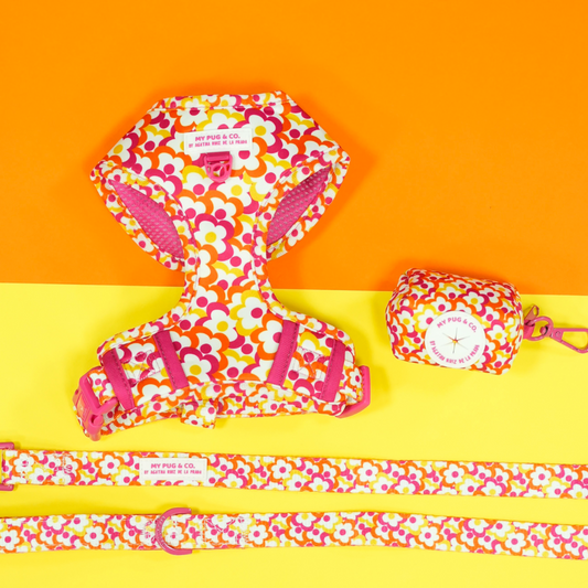 Pack Arnés Ajustable Flores Pop by Agatha Ruiz de la Prada