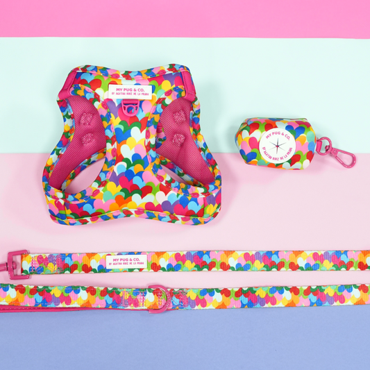 Pack Arnés Body Corazones Pop by Agatha Ruiz de la Prada