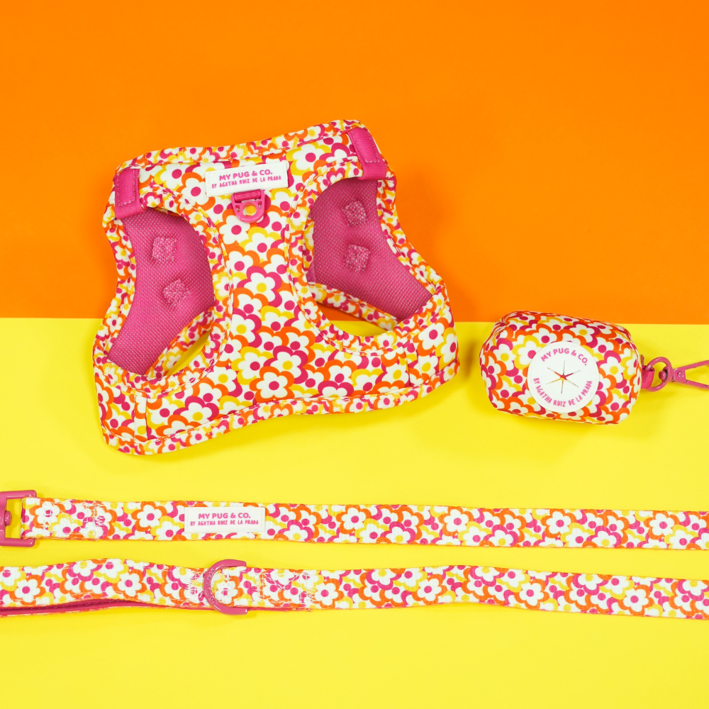 Pack Arnés Body Flores Pop by Agatha Ruiz de la Prada