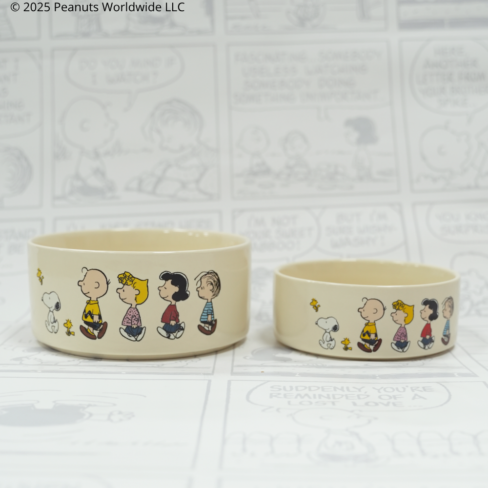 Comedero Snoopy™️