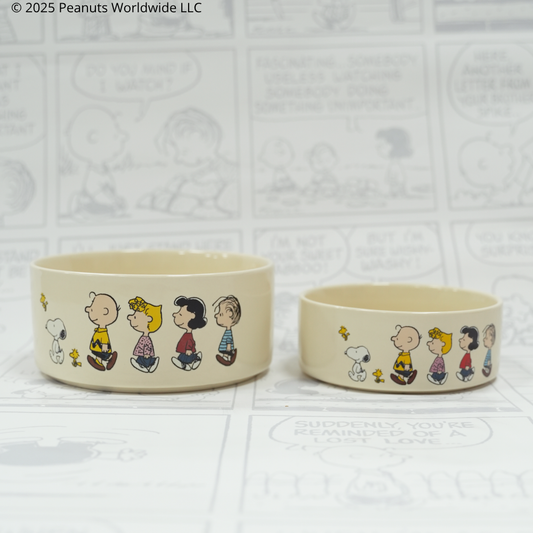 Comedero Snoopy™️