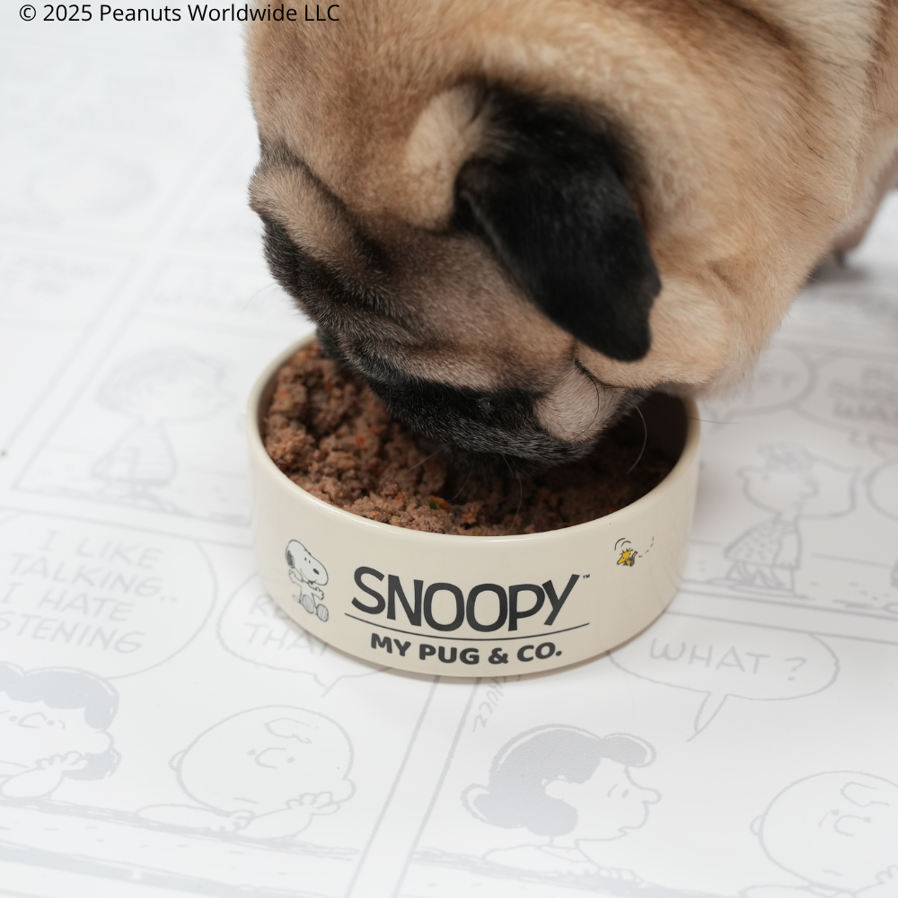 Comedero Snoopy™️