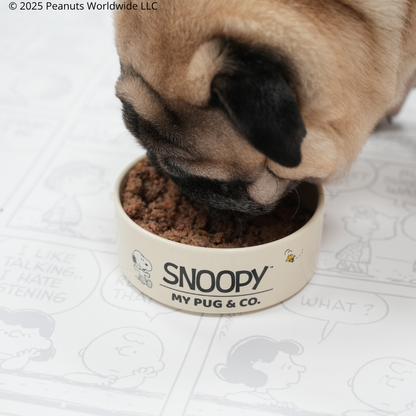 Comedero Snoopy™️