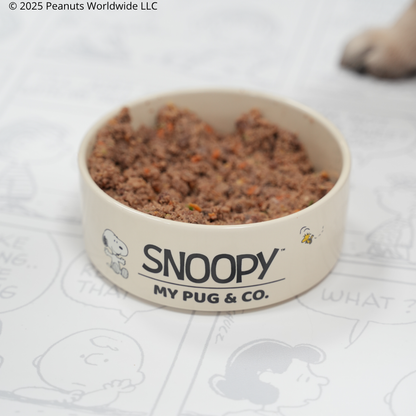 Comedero Snoopy™️