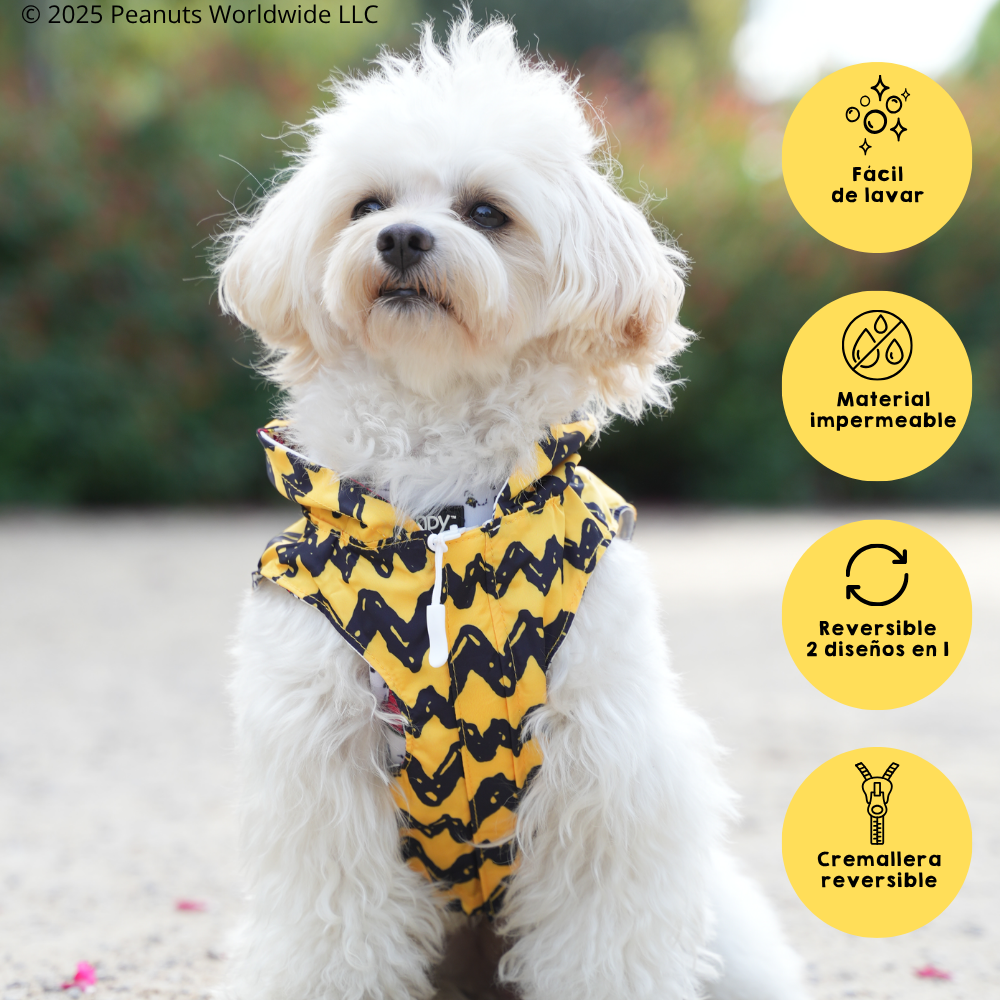 Chubasquero Snoopy™️ Classic