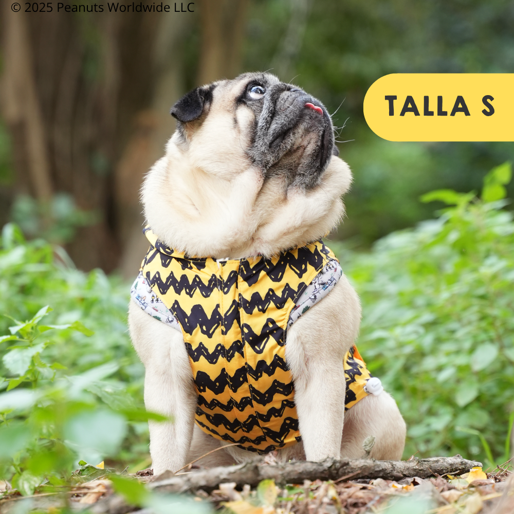 Chubasquero Snoopy™️ Classic