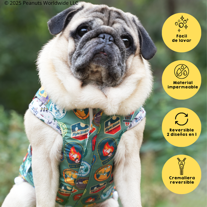 Chubasquero Snoopy™️ Beagle Scout