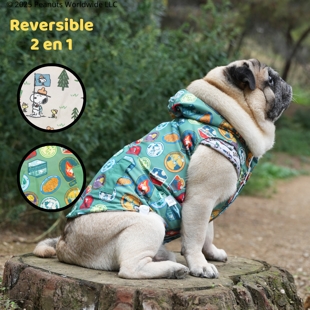 Chubasquero Snoopy™️ Beagle Scout