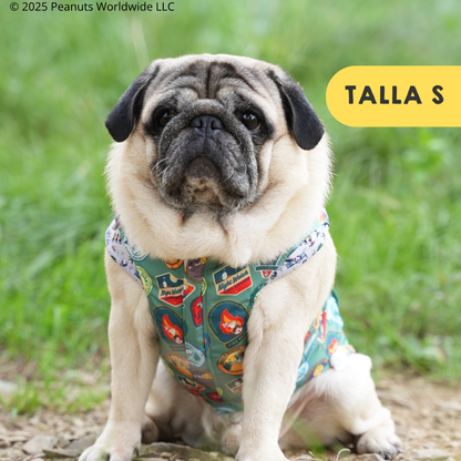 Chubasquero Snoopy™️ Beagle Scout