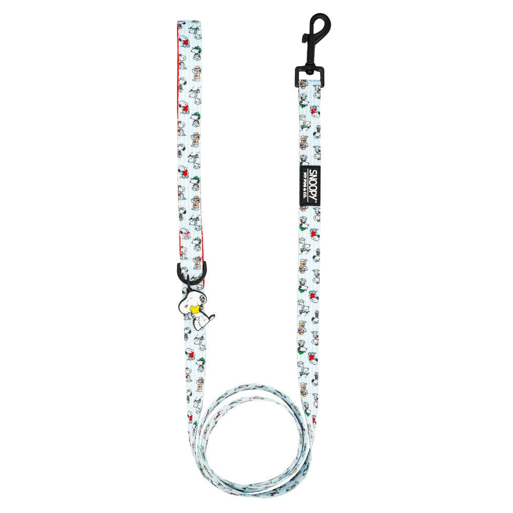 Correa Many Faces of Snoopy™️