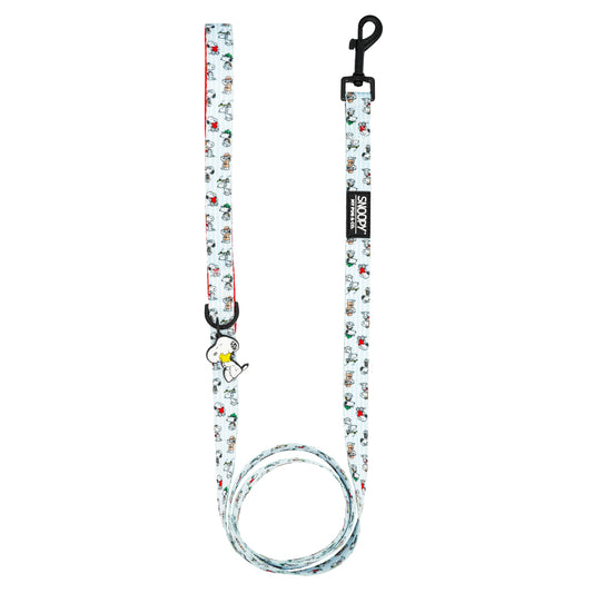 Correa Many Faces of Snoopy™️