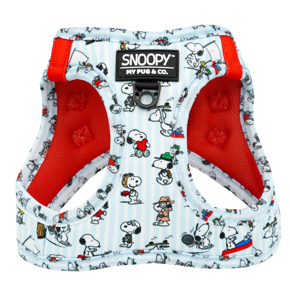 Step-in Hundegeschirr Many Faces von Snoopy™️
