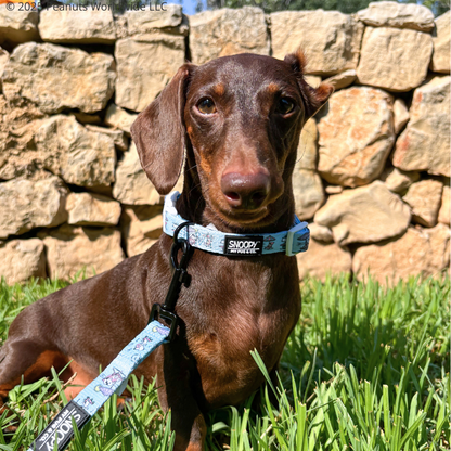 Collar Snoopy™️ Beach