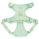 All-Terrain-Geschirr Mint Chic