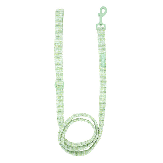 Correa Mint Chic