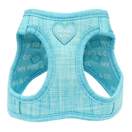 Arnés Body Azul Sky