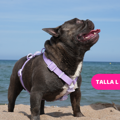 Arnés Ajustable Waterproof Lila