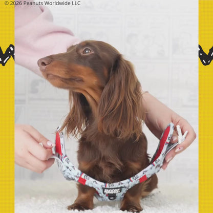 Step-in Hundegeschirr Many Faces von Snoopy™️
