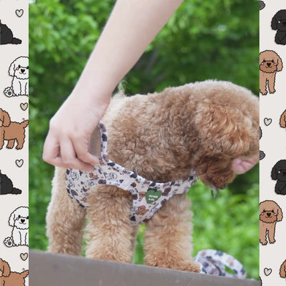 Pack Arnés Body Poodle