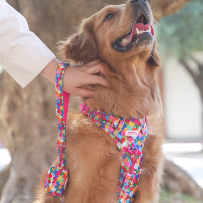 Hearts Trail Harness by Agatha Ruiz de la Prada