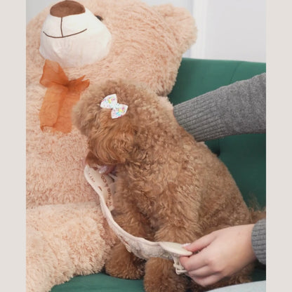 Arnés Body Teddy Crema
