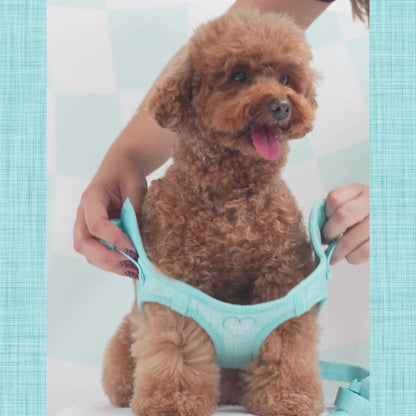 Arnés Body Azul Sky