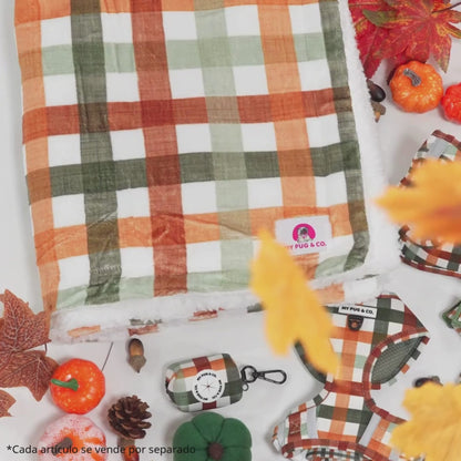Manta Autumn Picnic