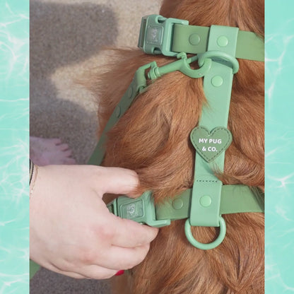 Arnés Ajustable Waterproof Verde